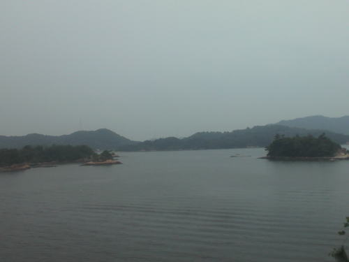 P1000187.jpg