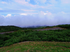 IMGP2709.JPG