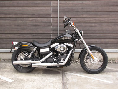 2011fxdb.jpg